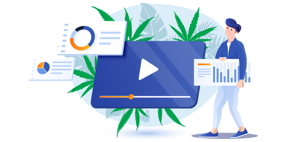 Online Cannabis Advertising: Why Cannot Your Marijuana Retail Business Do Without a Digital Strategy in 2021?