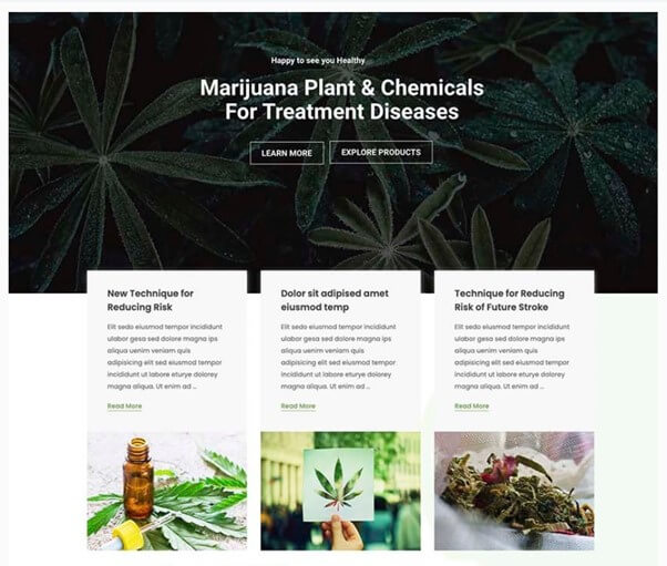 Medicue WordPress Theme