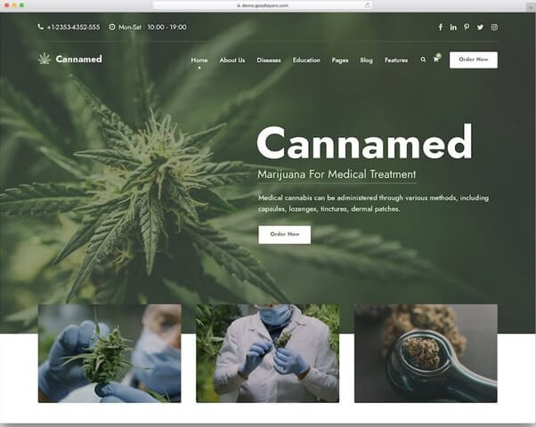 Cannamed WordPress Theme