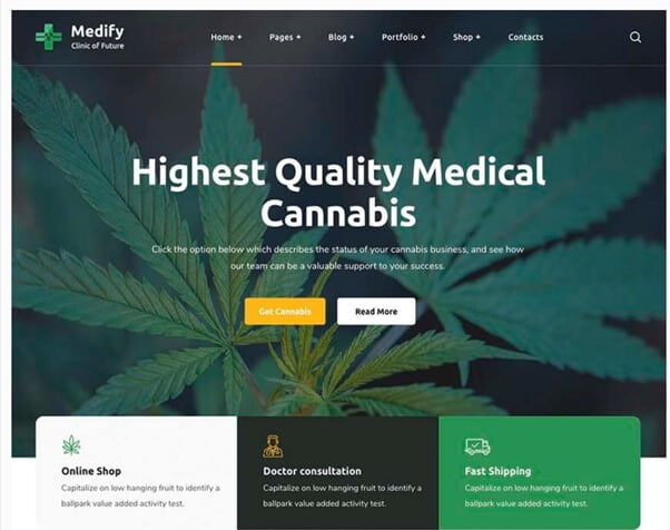 Medify WordPress Theme