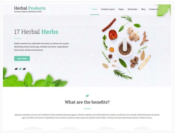 Herbal Lite WordPress Theme