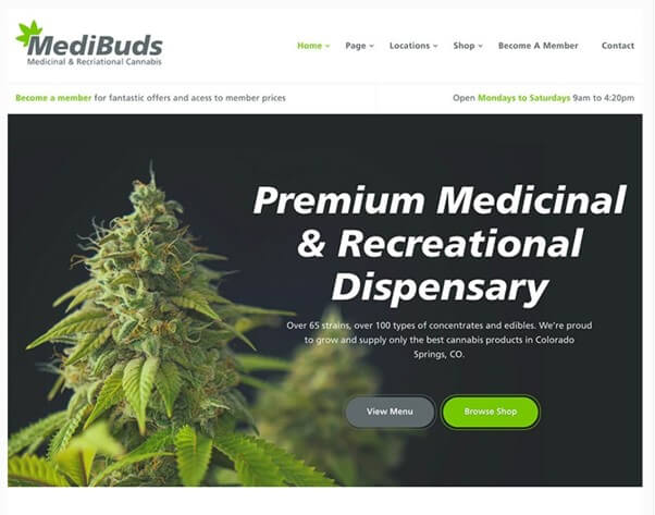 Medibuds WordPress Theme