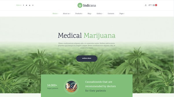 Indicana WordPress Theme