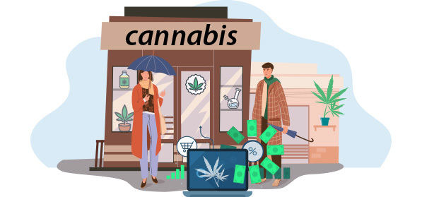 Why Is SEO Important for the Cannabis Niche?