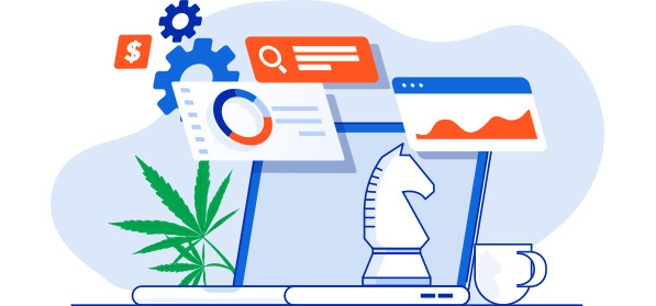 How to Help Your Cannabis Business Soar with Effective SEO Strategies?