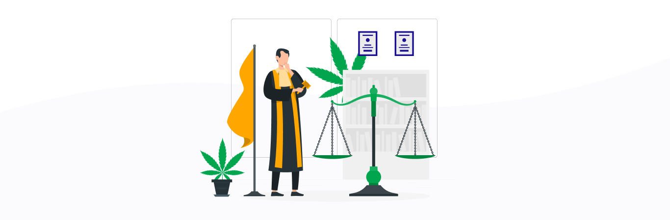 Top 10 Cannabis Business Lawyers in 2024