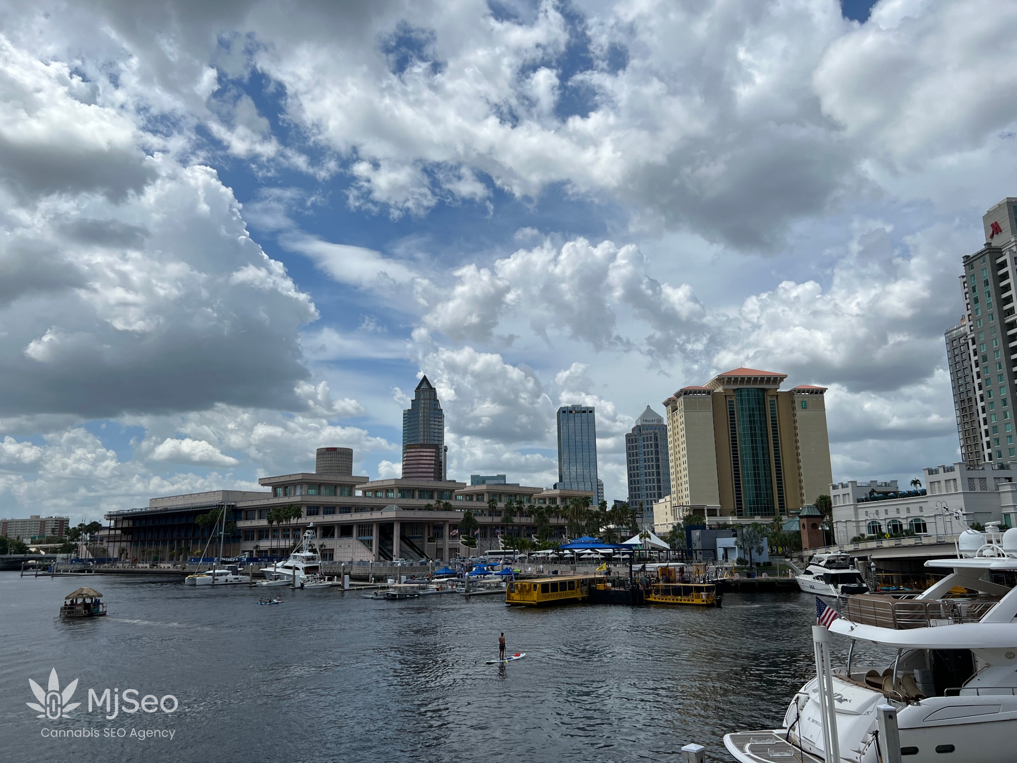 View at Tampa Convention Center