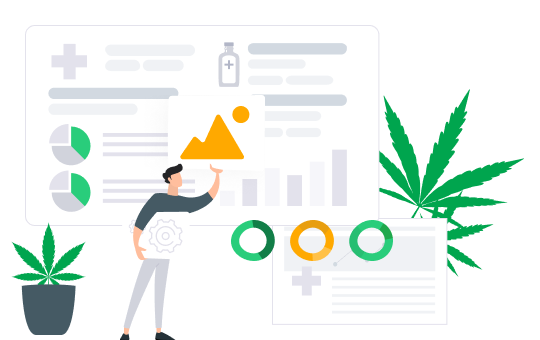 cannabis web design