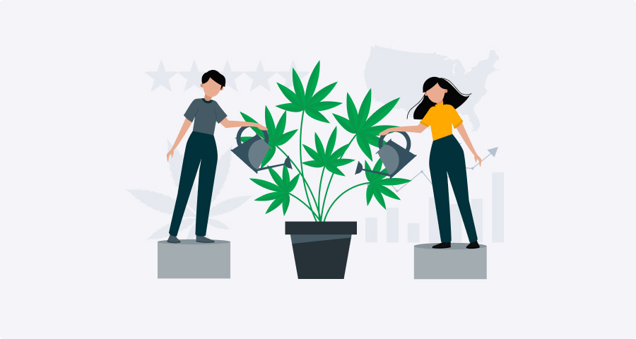 Top Cannabis Growers