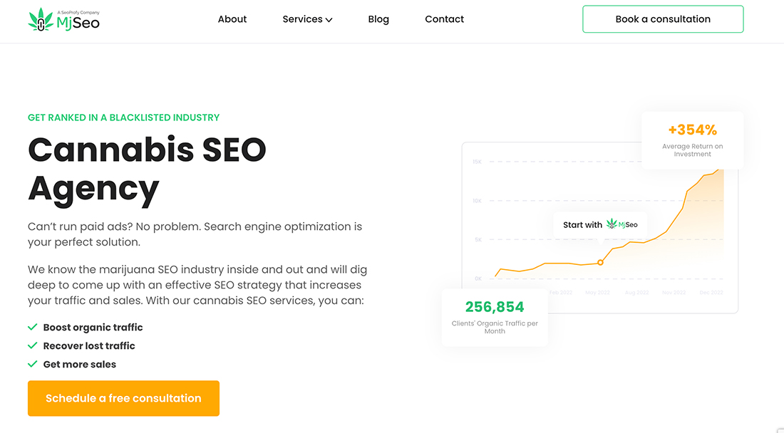MjSeo Agency